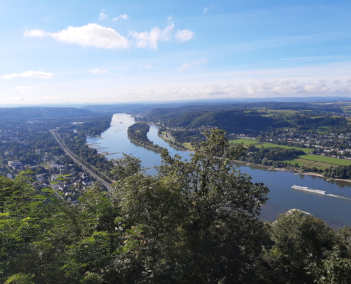 Drachenfelsblick